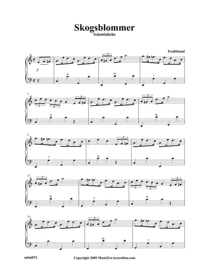 Skogsblommer (Solo)