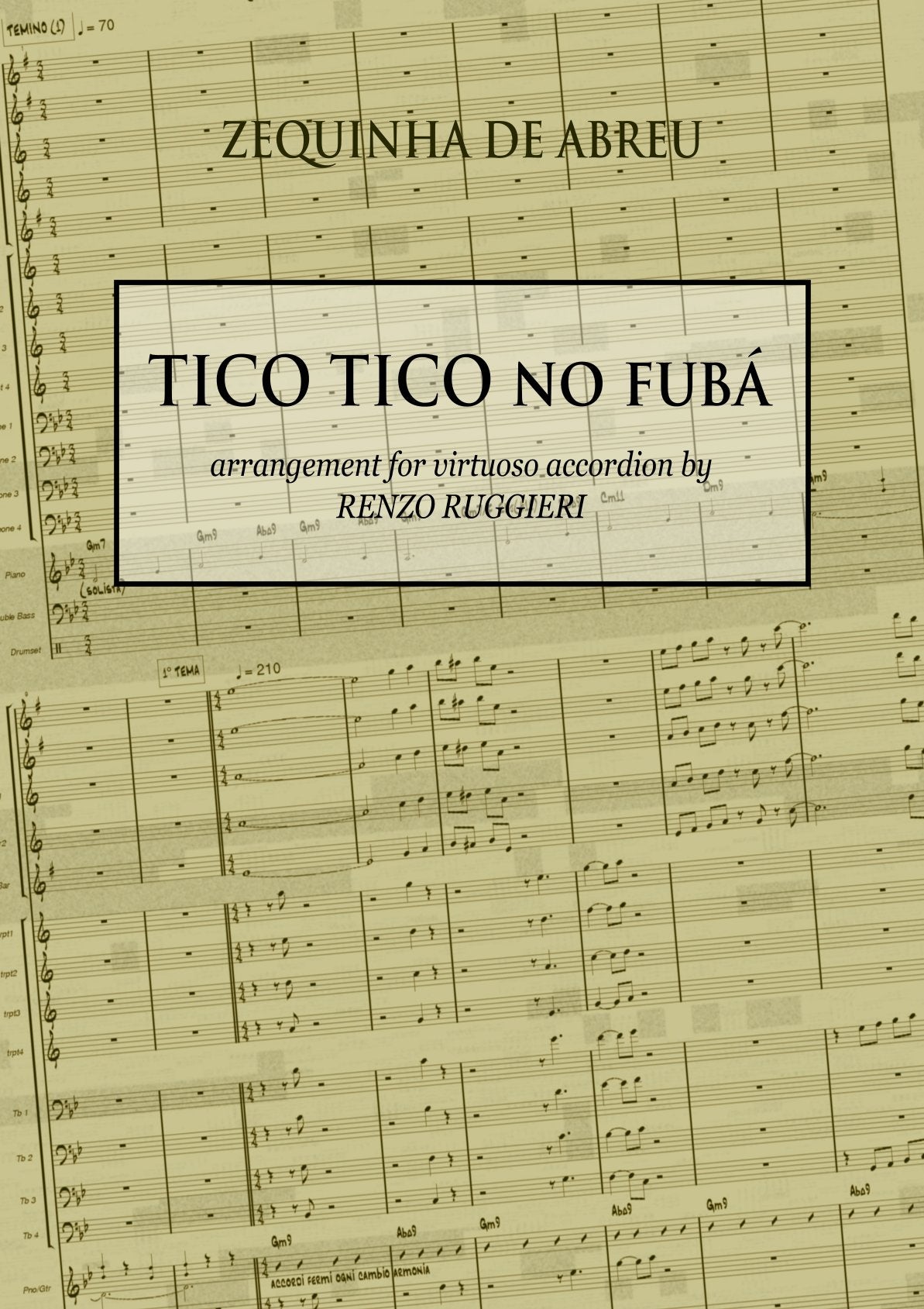 Tico Tico se fuba (solo)
