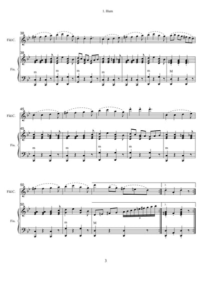3 Balkan Dances ( for Accordion & Recorder) (Duet)