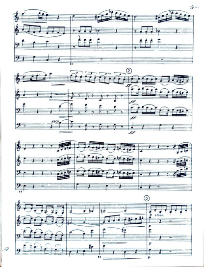 Sonata No. 3 (Ensemble)