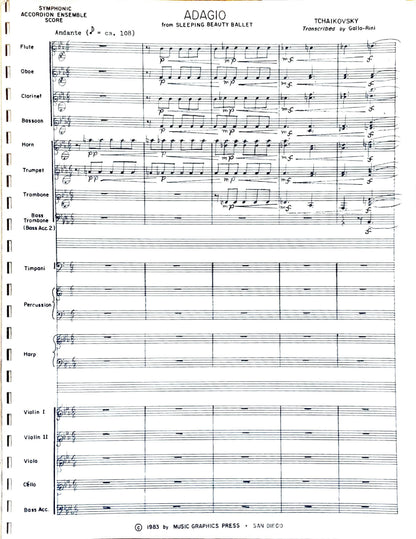 Adagio from 'Sleeping Beauty' (acccordion ensemble)