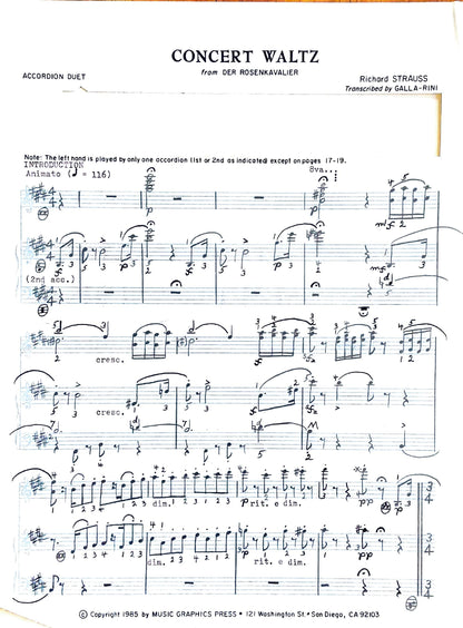 Concert Waltz from Der Rosenkavalier (Duet)