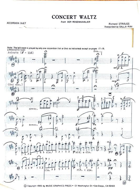 Concert Waltz from Der Rosenkavalier (Duet)