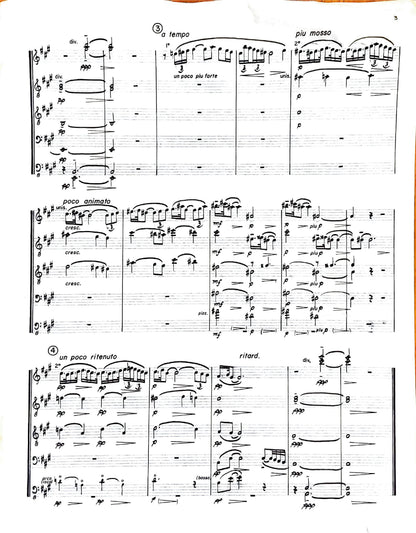 The Little Shepherd (accordion orchestra)