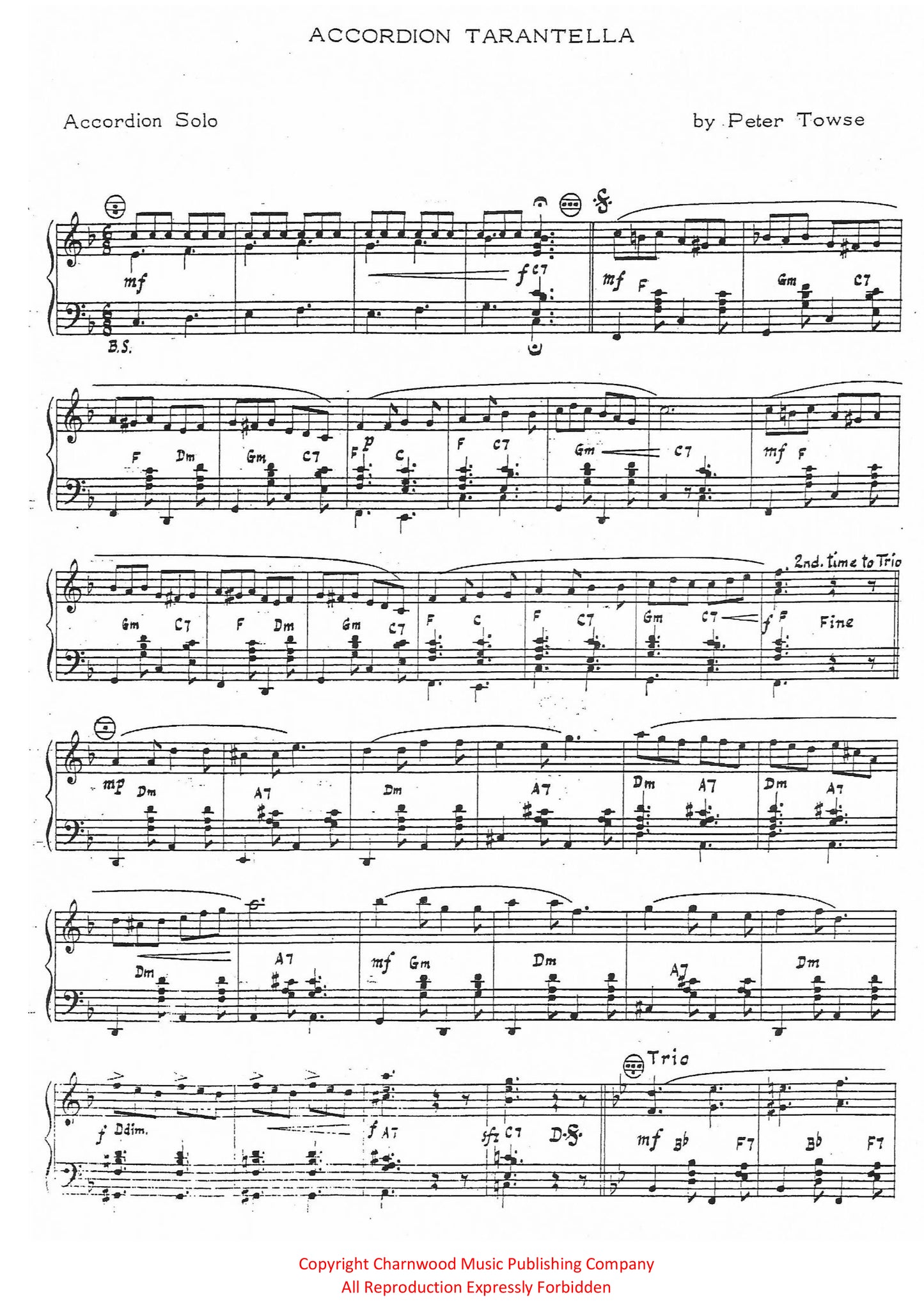 Accordion Tarantella (Solo)